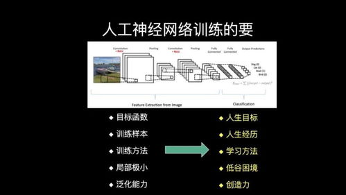 從人工神經網絡的發展，探索腦網絡優化的路徑與人工智能基礎軟件開發