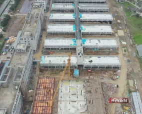浙閩臺水產(chǎn)城擴(kuò)建開放在即 九月迎客之際水電安裝進(jìn)入攻堅(jiān)階段
